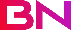 Bitnile Logo